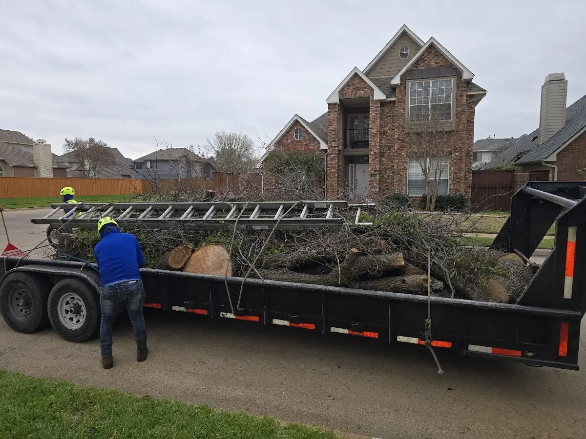 Expert Lot Clearing with proper safety equipment in Canalou